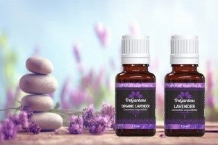 Lavender –The Definitive Cure All, First Aid Kit