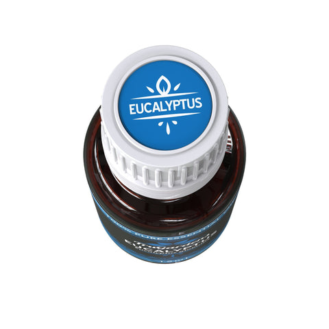 Eucalyptus Globulus Essential Oil-Free-Sample